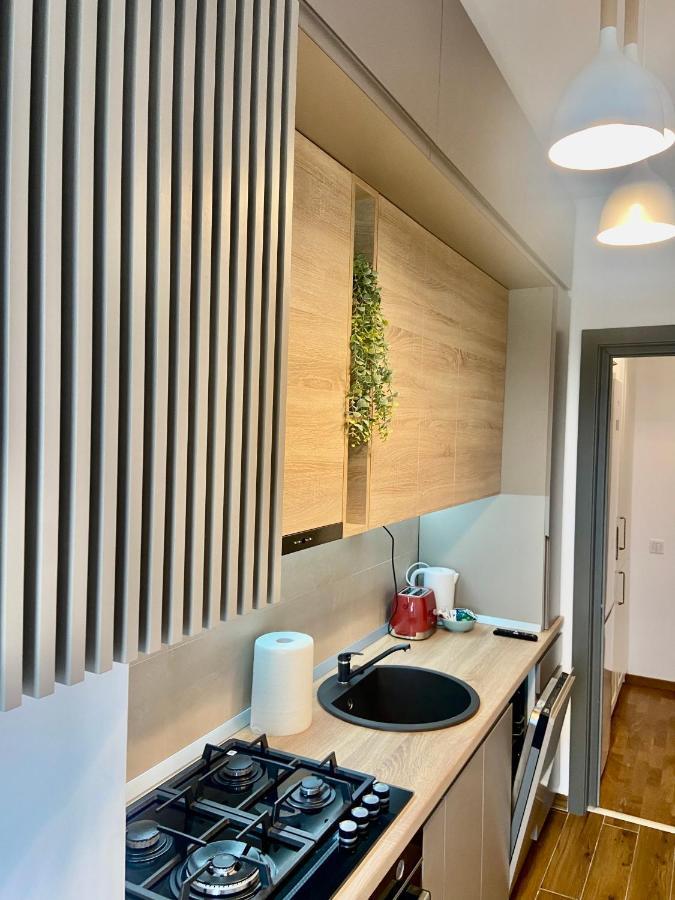 이아시 Lazar Loft 아파트 외부 사진